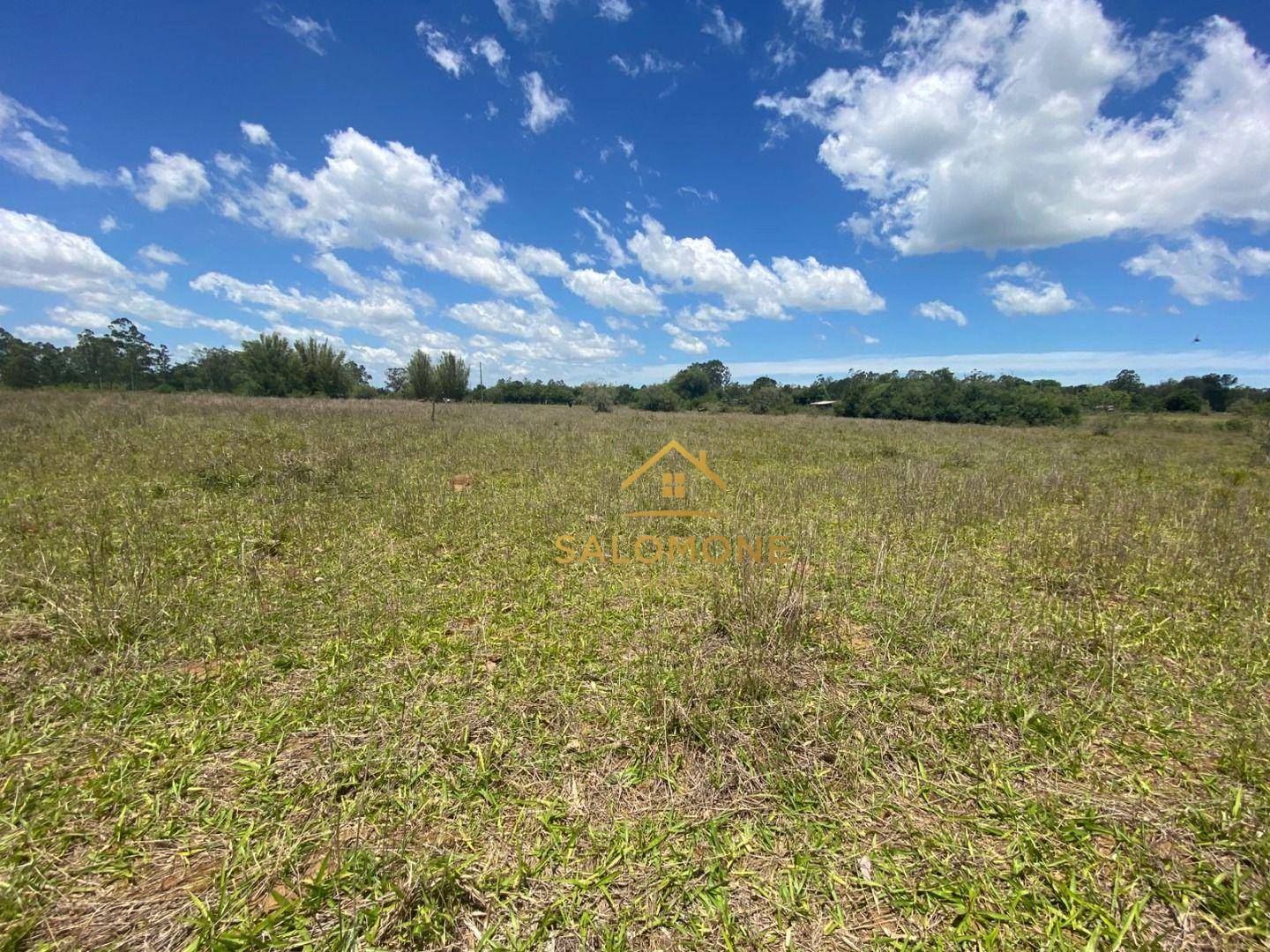 Sítio, 2 hectares - Foto 2