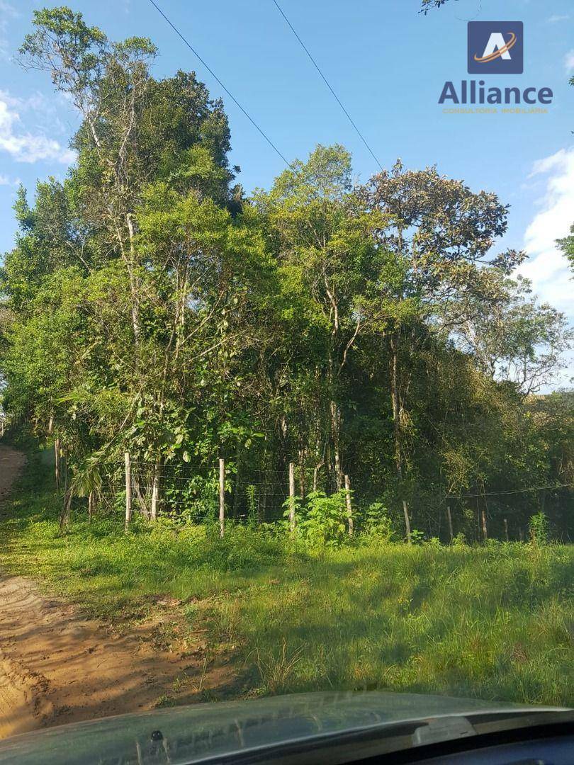 Sítio à venda com 1 quarto, 100m² - Foto 6