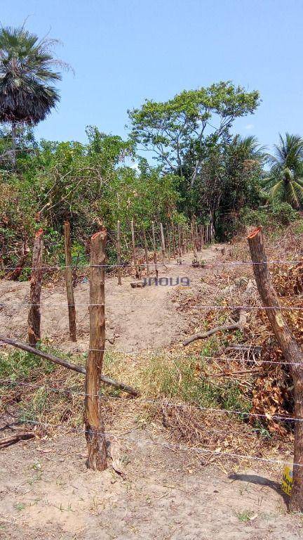 Terreno, 1750 m² - Foto 10