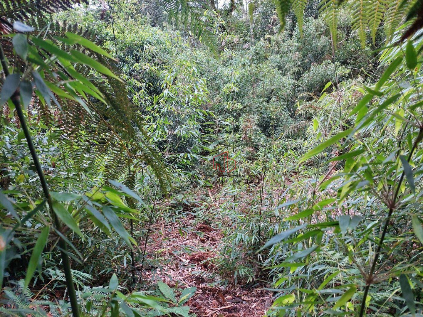 Loteamento e Condomínio à venda, 600M2 - Foto 1