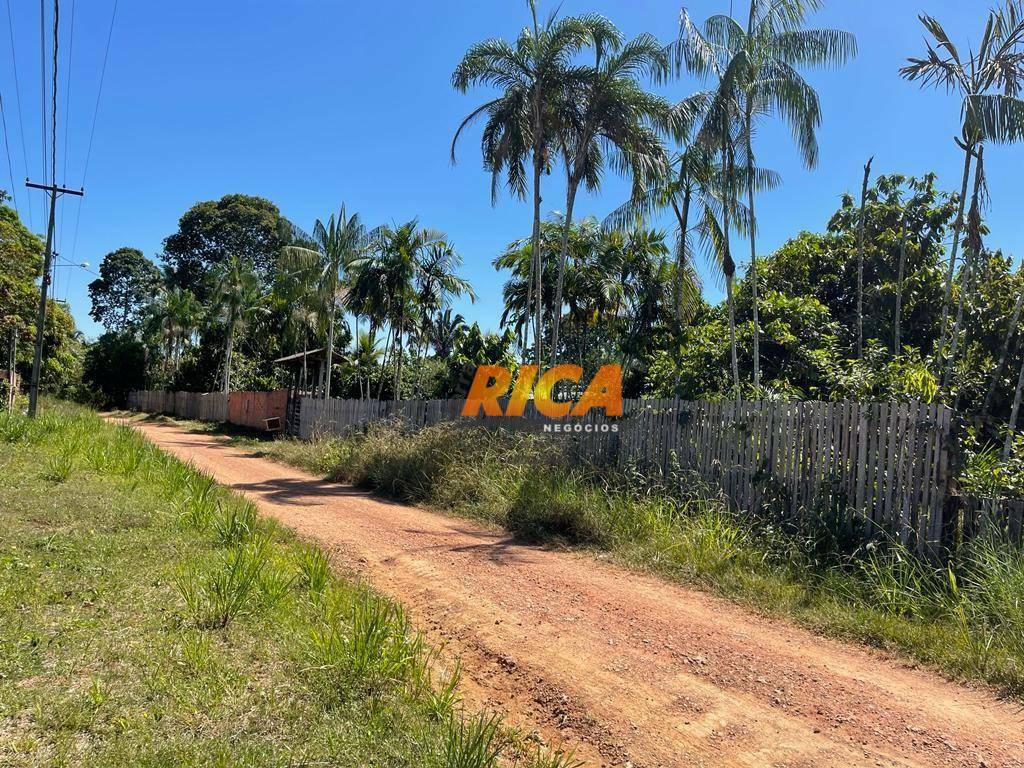 Chácara, 3 quartos, 2 hectares - Foto 39