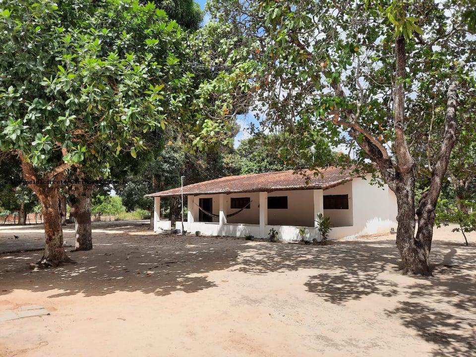 Fazenda à venda com 2 quartos, 14m² - Foto 2