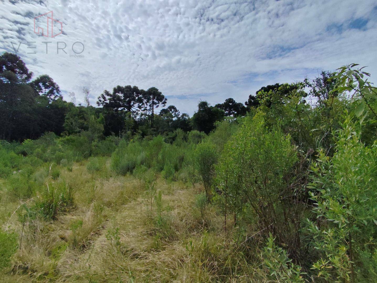 Sítio à venda, 160000M2 - Foto 4