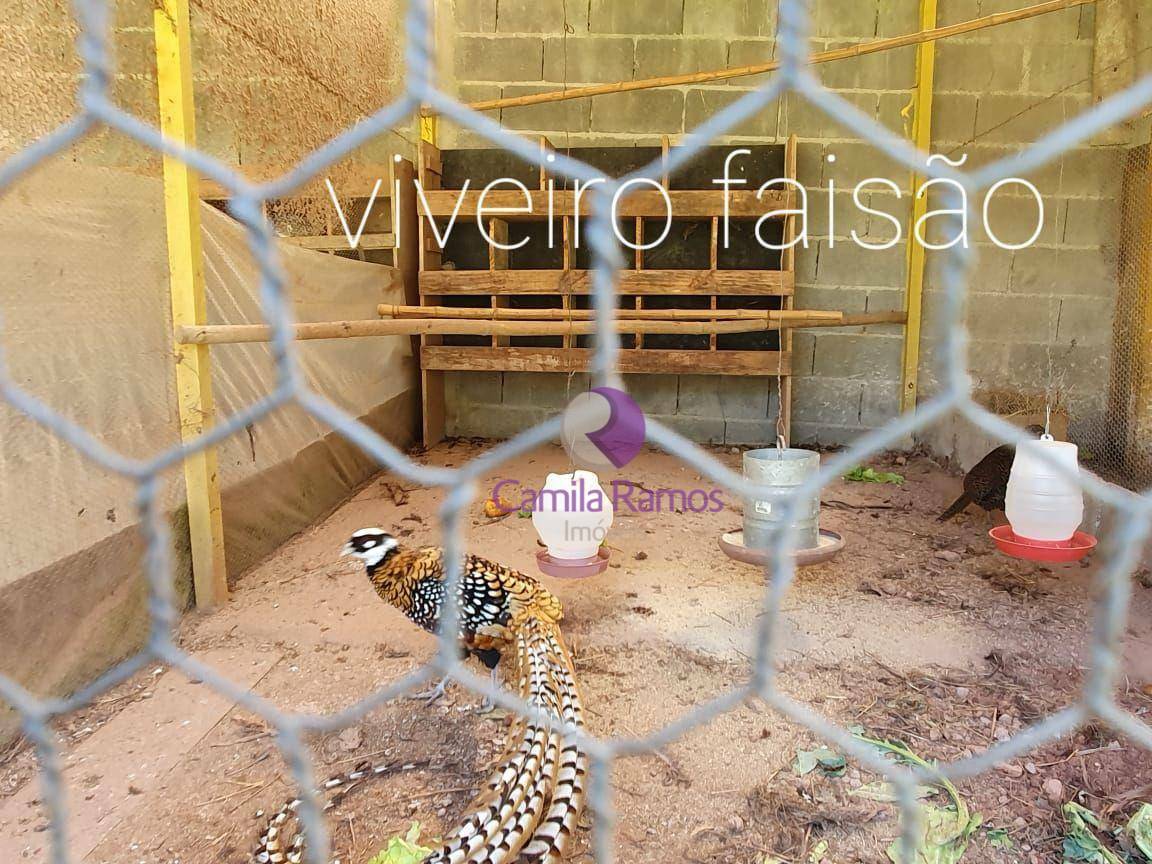 Chácara à venda com 3 quartos, 250m² - Foto 28
