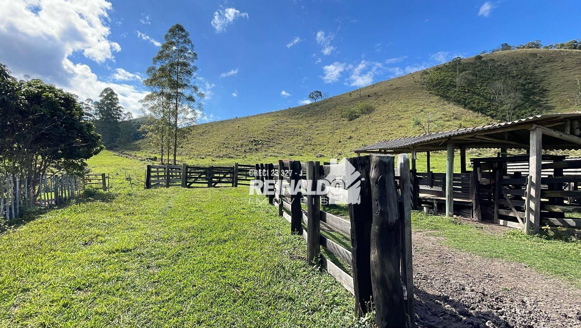 Fazenda à venda com 8 quartos, 900m² - Foto 60