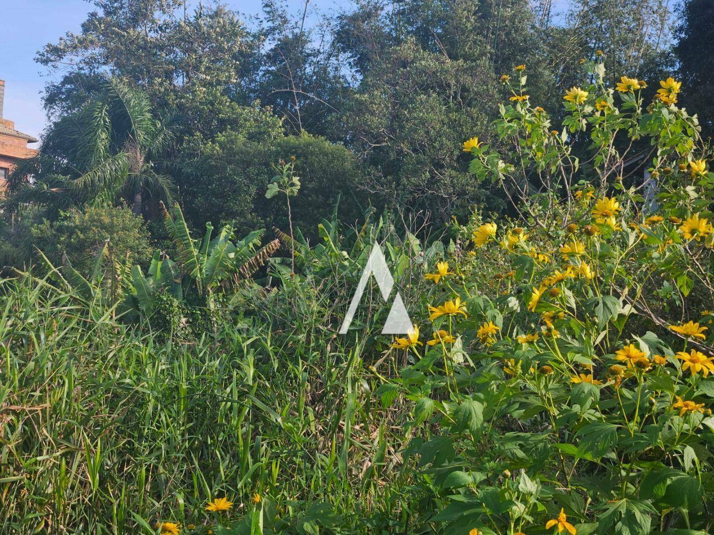 Terreno à venda, 5410M2 - Foto 7