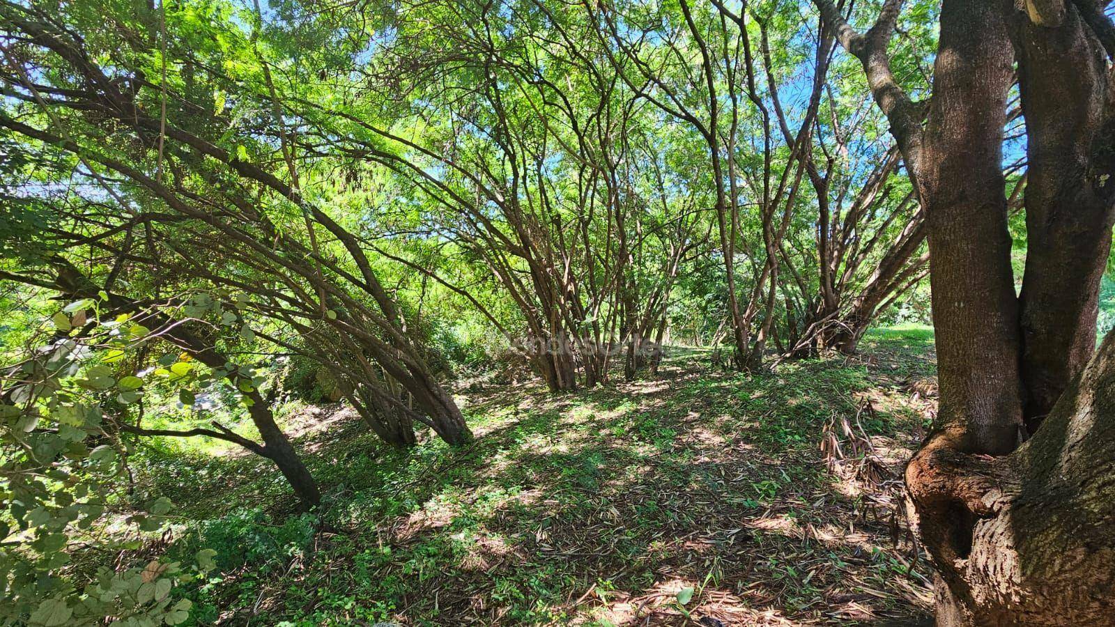 Terreno, 2260 m² - Foto 5