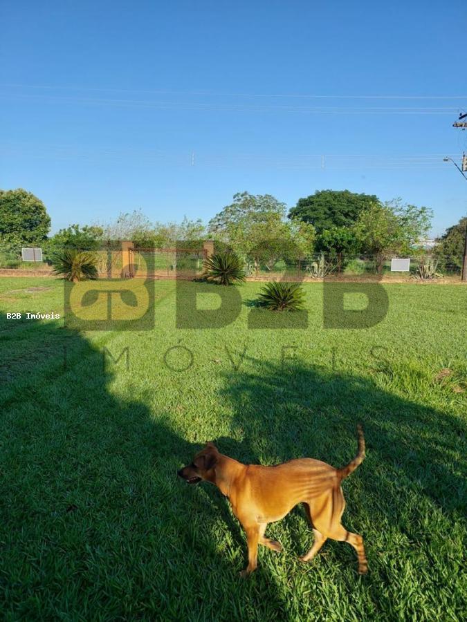 Fazenda à venda com 5 quartos, 5000m² - Foto 10