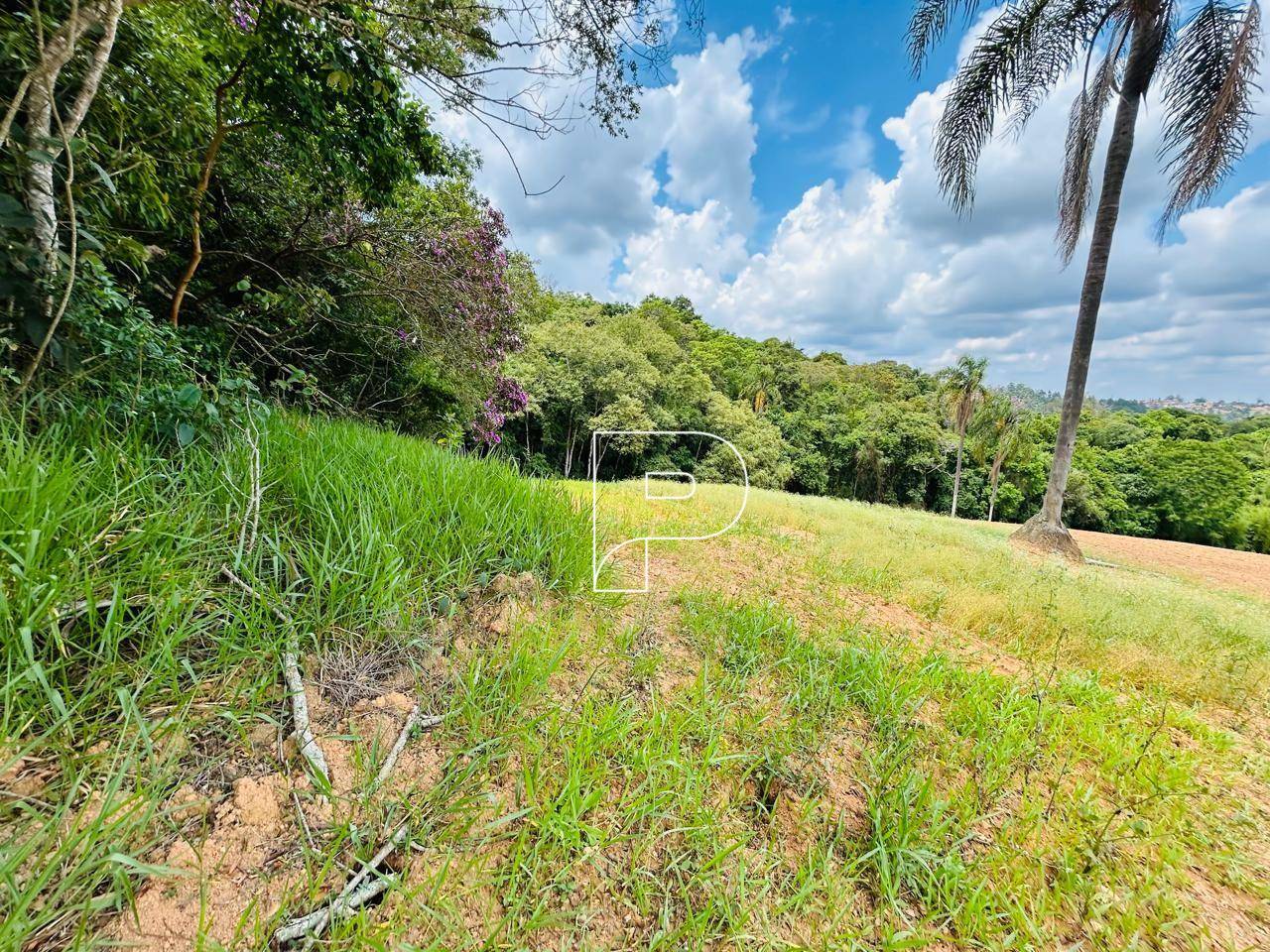 Terreno, 5 hectares - Foto 13