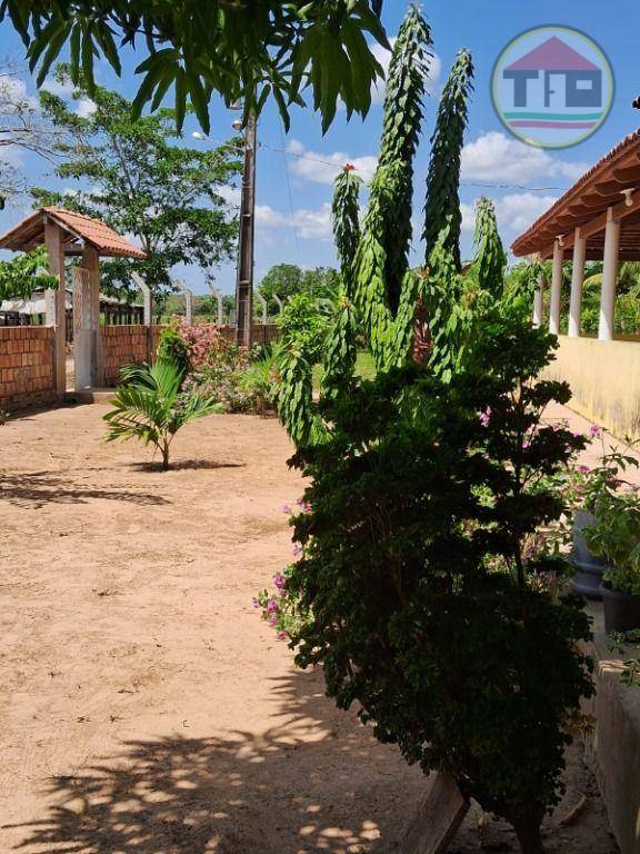 Fazenda à venda, 968000M2 - Foto 7