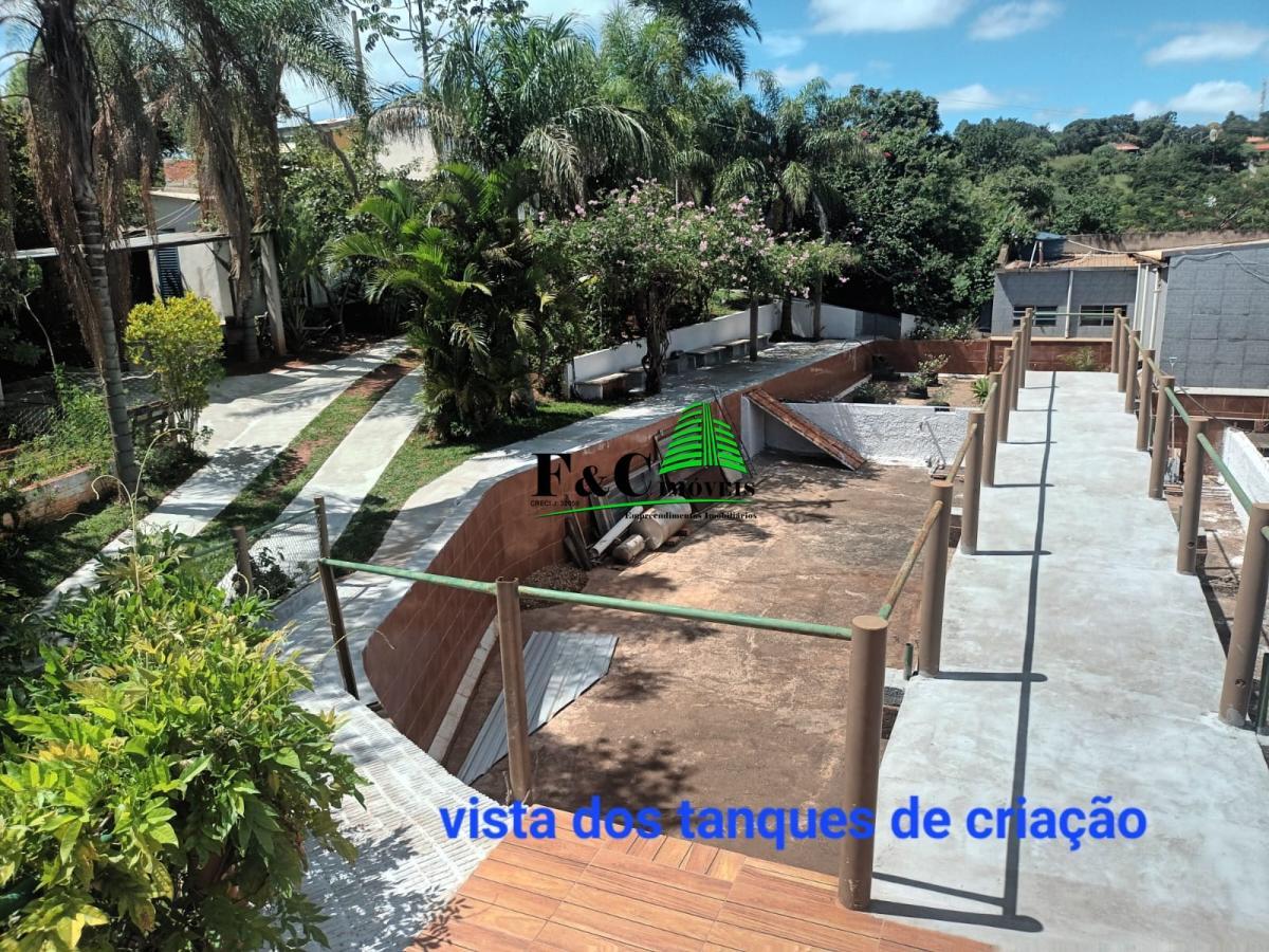 Casa à venda com 4 quartos, 5300m² - Foto 8