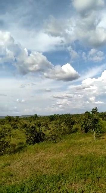 Fazenda à venda com 1 quarto, 17800000M2 - Foto 25