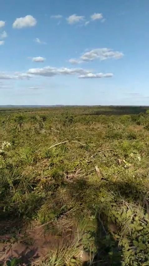 Fazenda à venda com 1 quarto, 17800000M2 - Foto 23