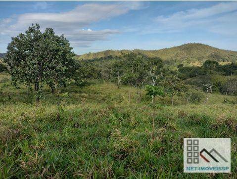 Fazenda à venda com 4 quartos, 500m² - Foto 1