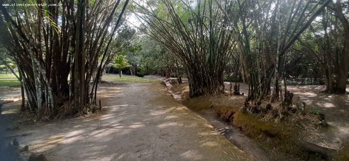 Chácara à venda com 50 quartos, 40000m² - Foto 21