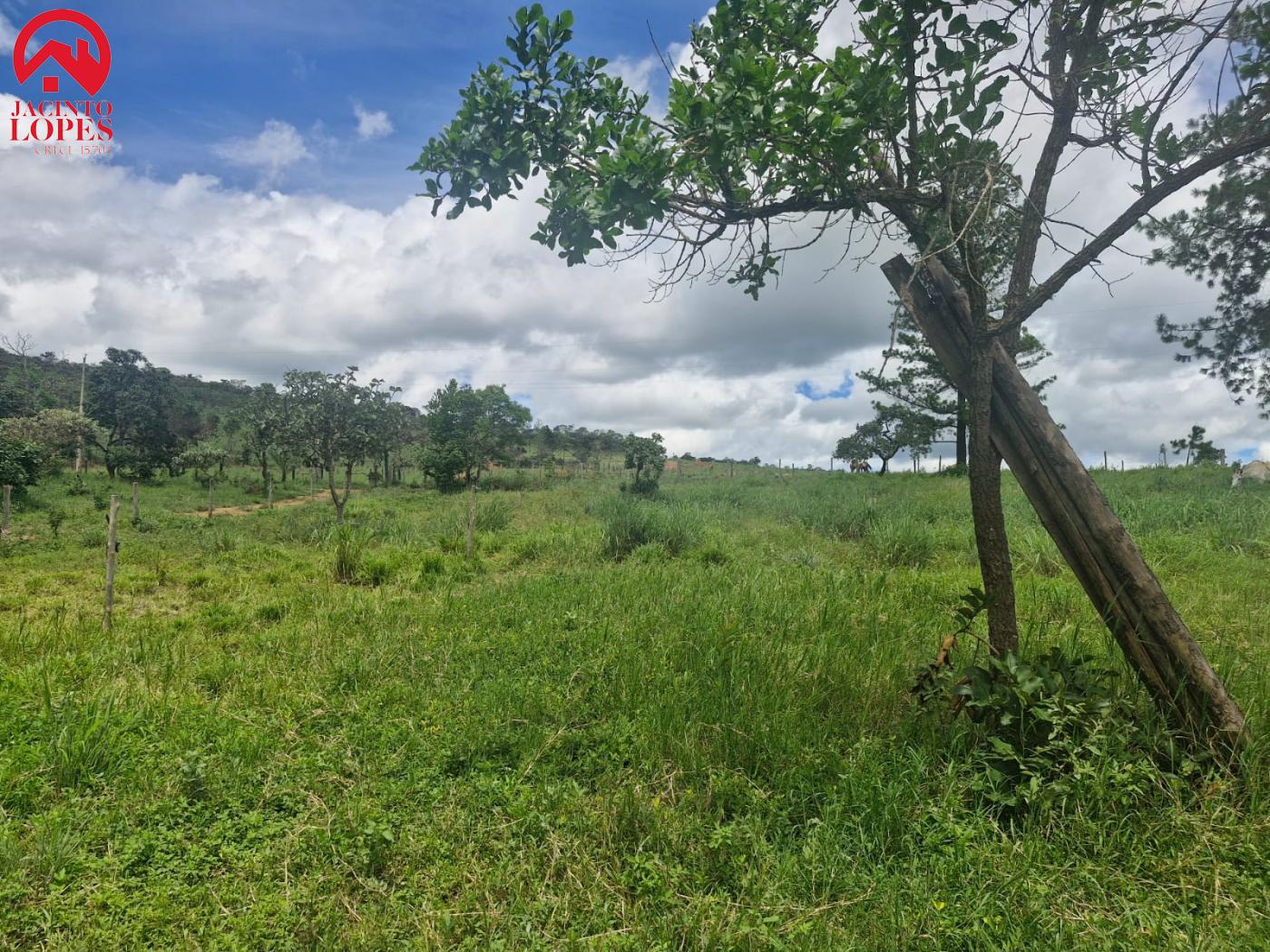 Fazenda à venda com 2 quartos, 120m² - Foto 18