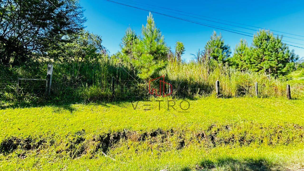 Sítio, 2 hectares - Foto 8