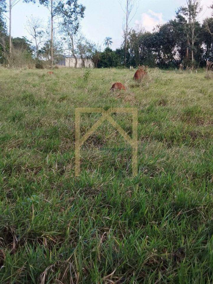 Terreno à venda - Foto 6