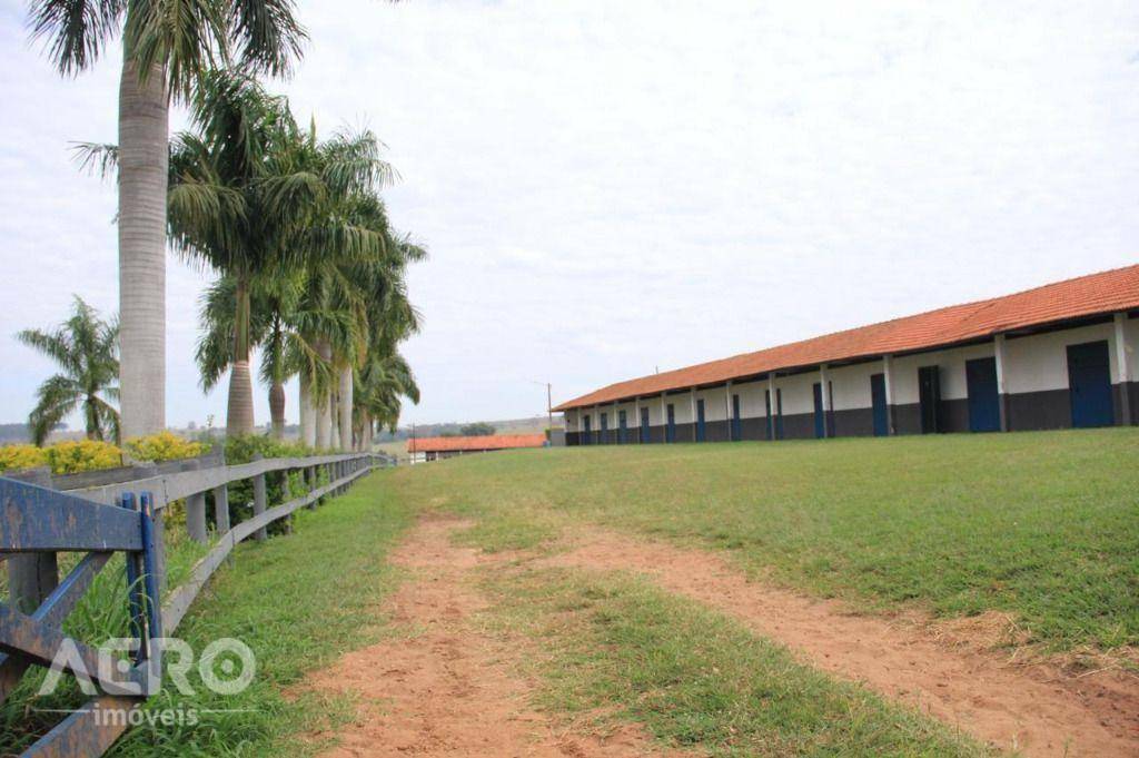 Fazenda à venda com 3 quartos, 400m² - Foto 25