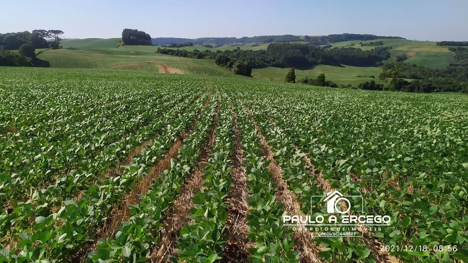 Fazenda à venda, 181m² - Foto 6