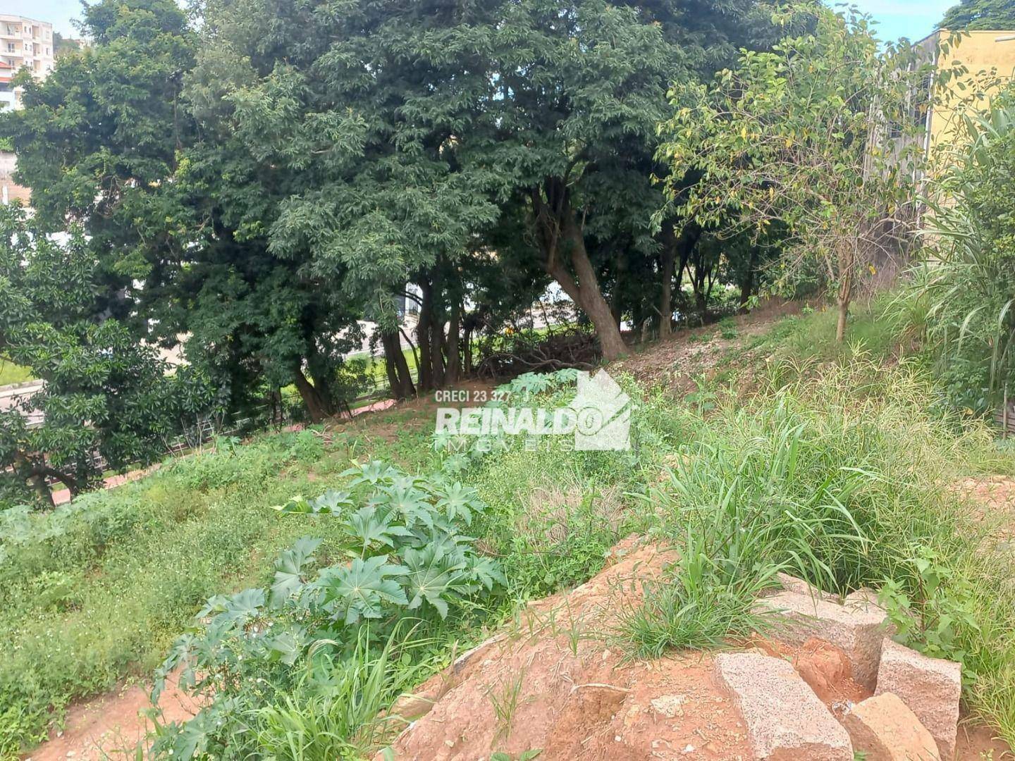 Terreno à venda, 1983M2 - Foto 6