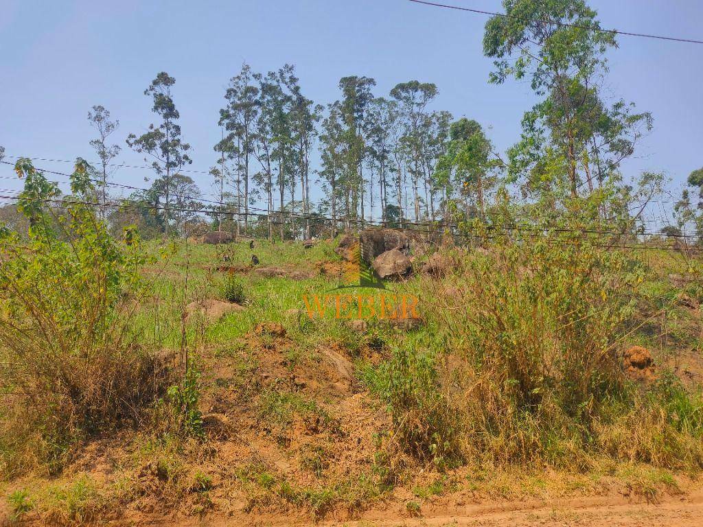 Terreno à venda, 5000M2 - Foto 1