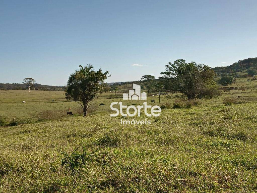 Fazenda à venda, 3242800M2 - Foto 27