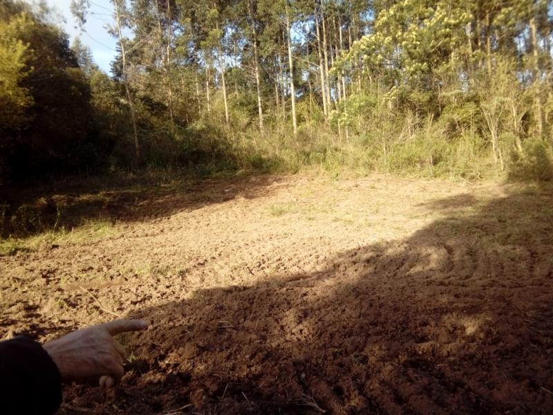 Sítio à venda com 1 quarto, 30000m² - Foto 18