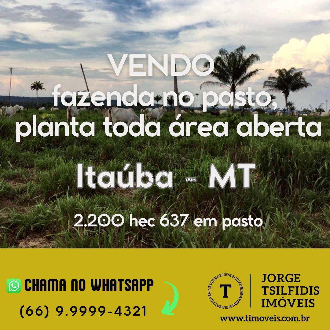 Fazenda-Sítio-Chácara, 2200 hectares - Foto 1