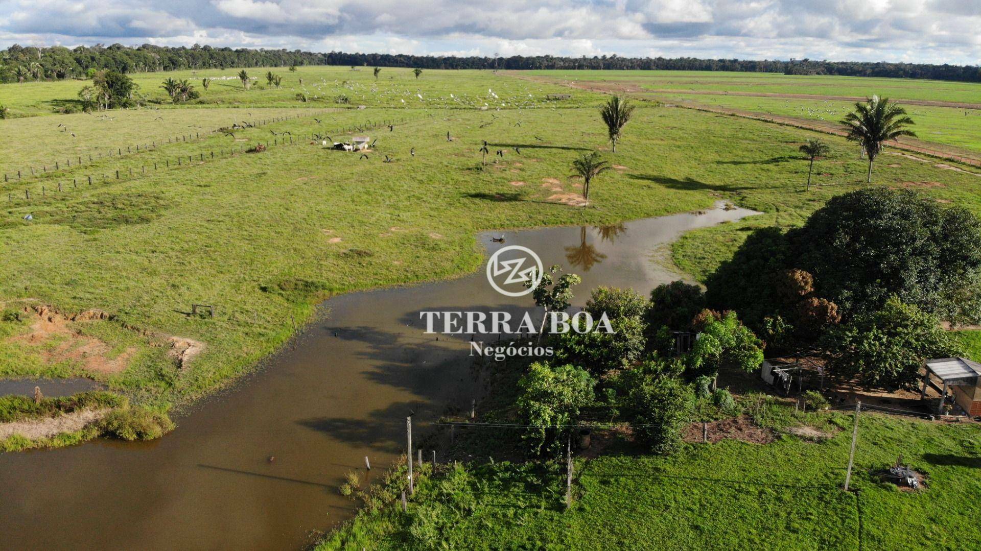 Fazenda-Sítio-Chácara, 397 hectares - Foto 3