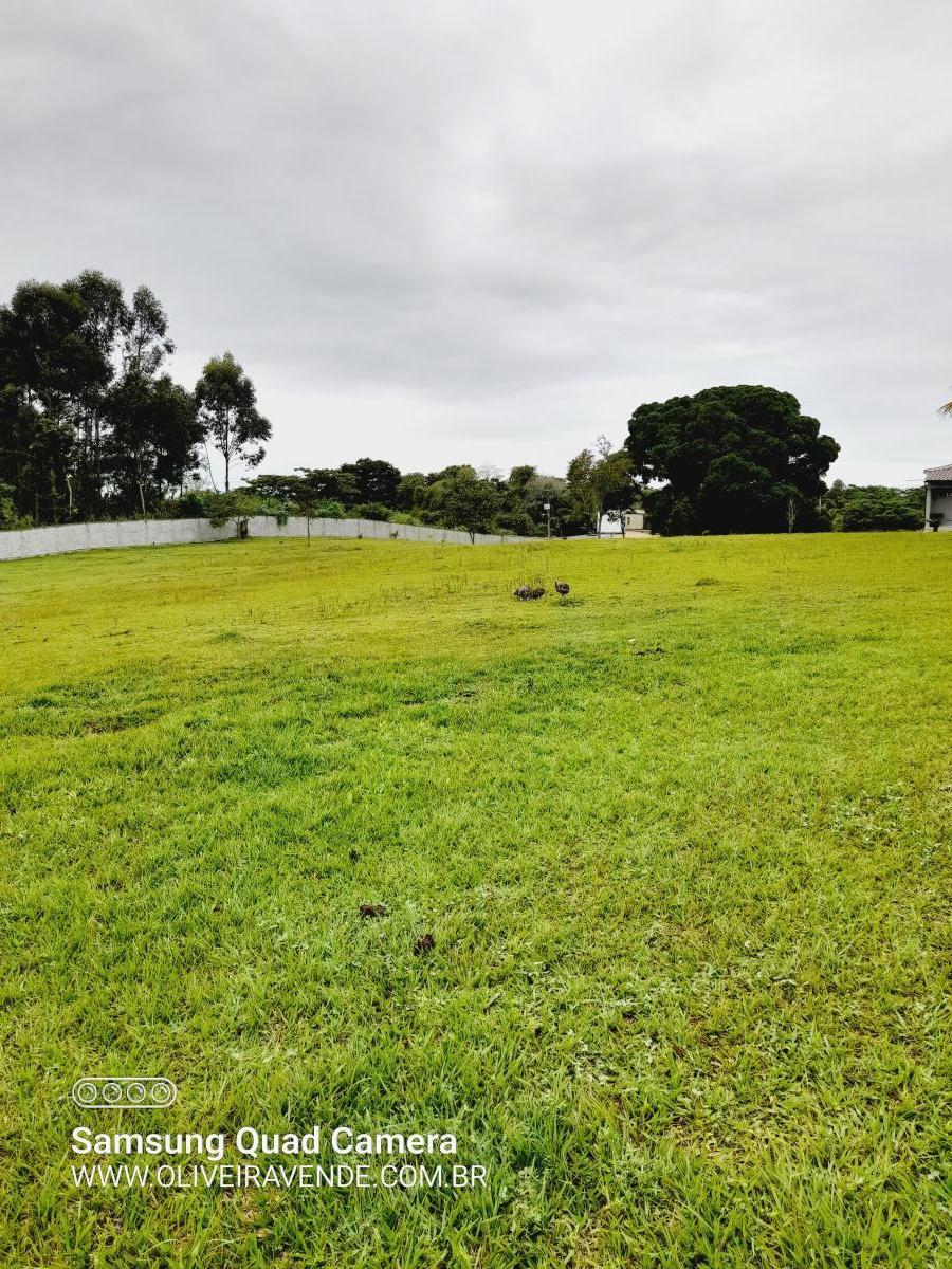 Fazenda à venda com 3 quartos, 20000m² - Foto 2