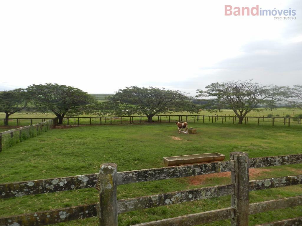 Fazenda à venda, 2589400M2 - Foto 33