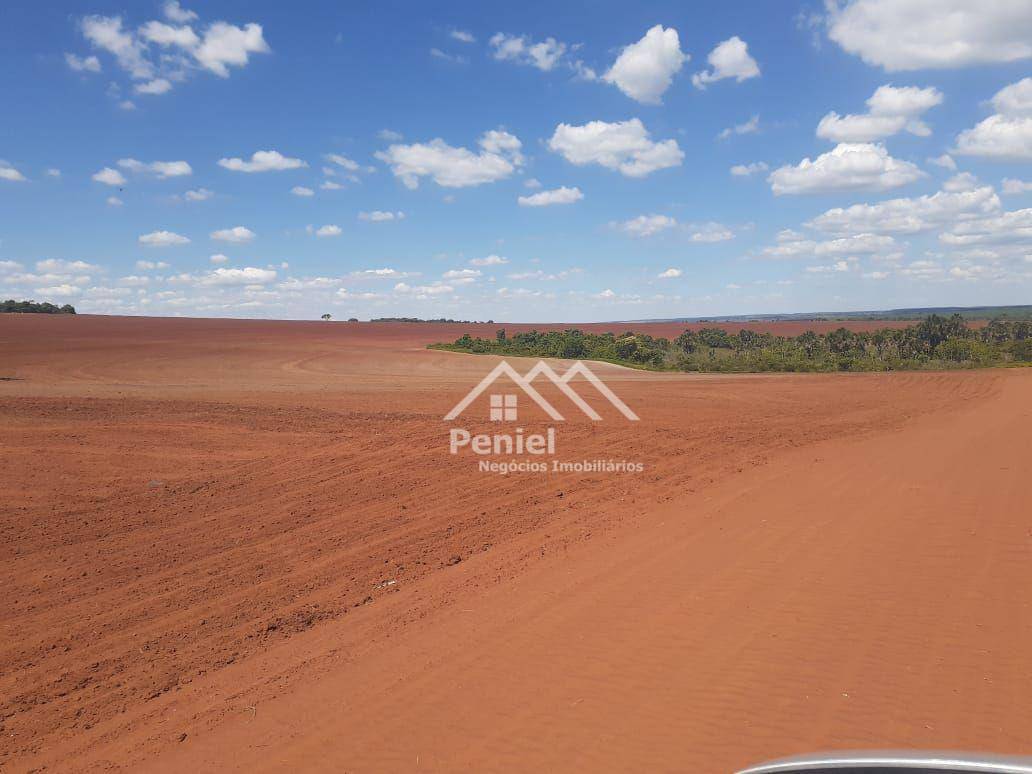 Fazenda à venda, 2202200M2 - Foto 8