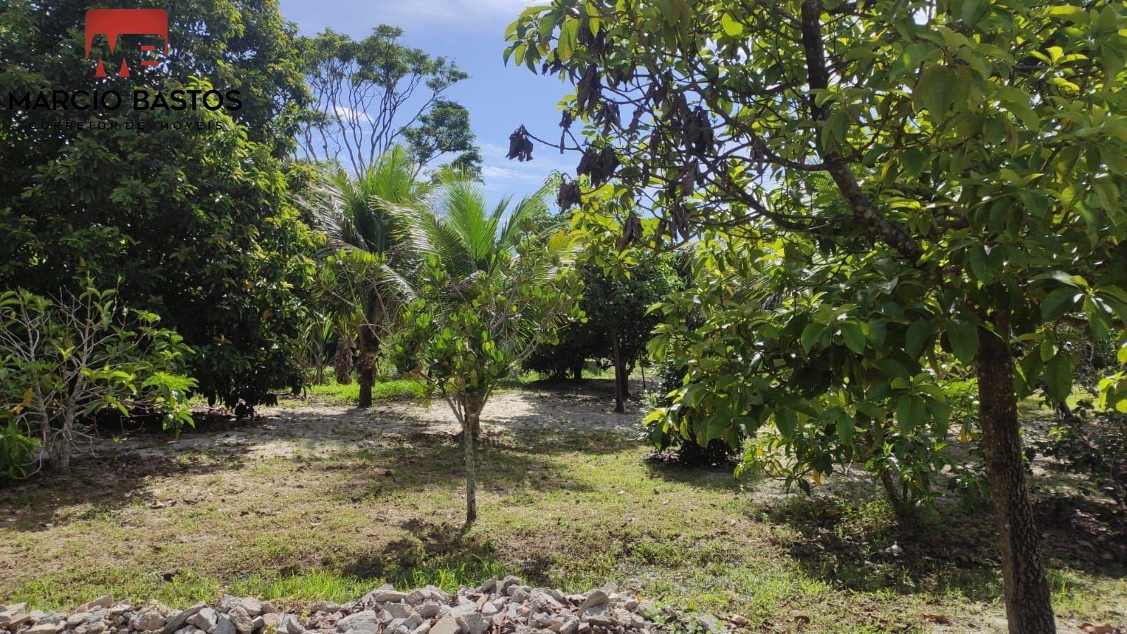 Fazenda à venda, 120m² - Foto 23