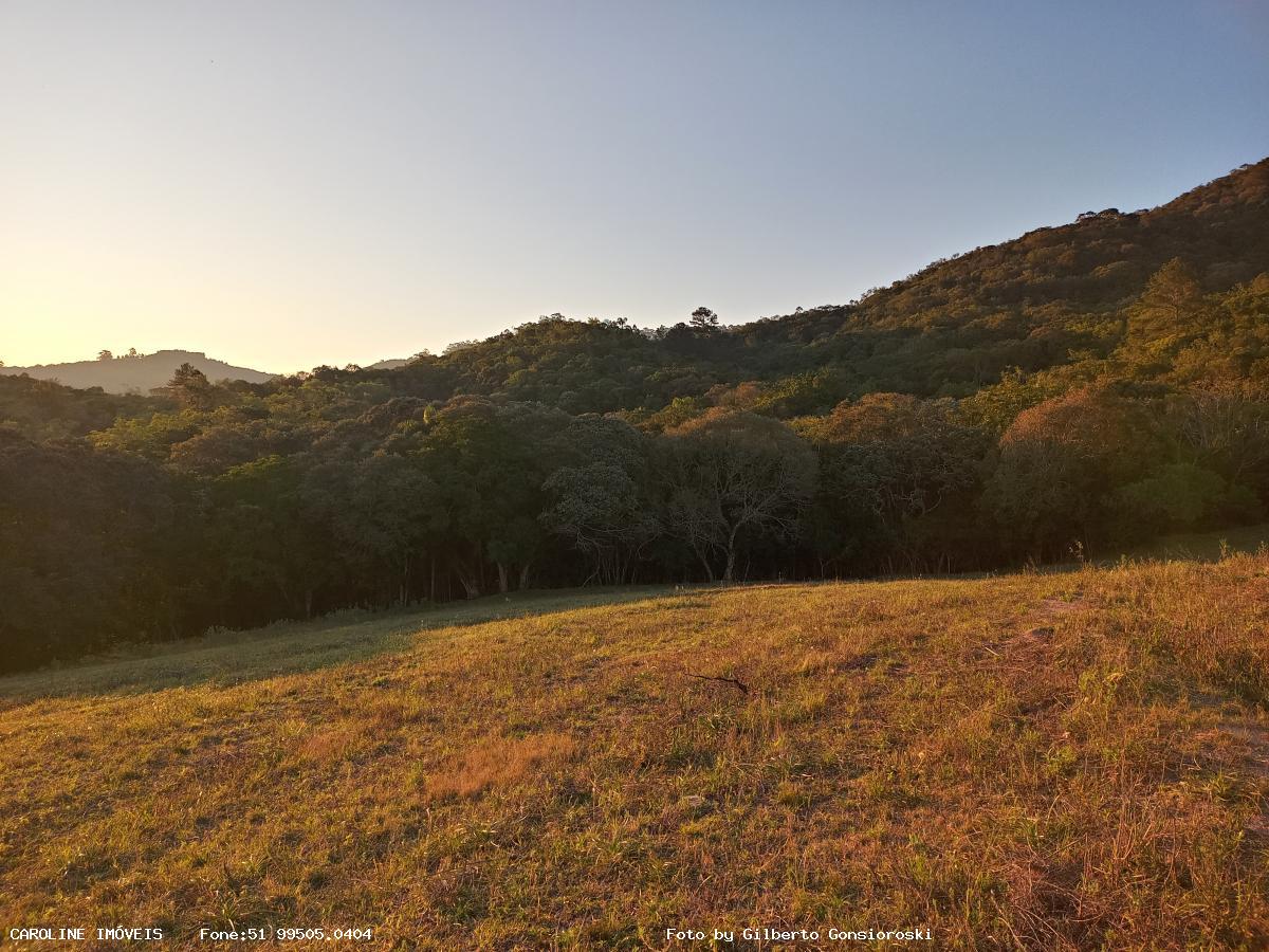 Fazenda à venda com 3 quartos, 586000m² - Foto 24