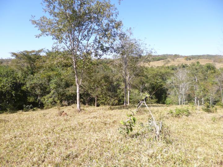 Fazenda à venda - Foto 1