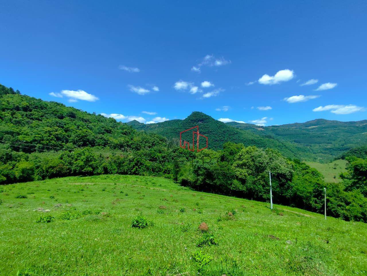 Sítio, 8900 m² - Foto 4