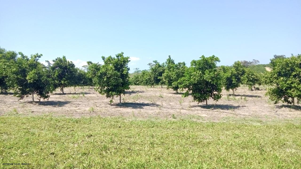 Fazenda à venda, 500000m² - Foto 6