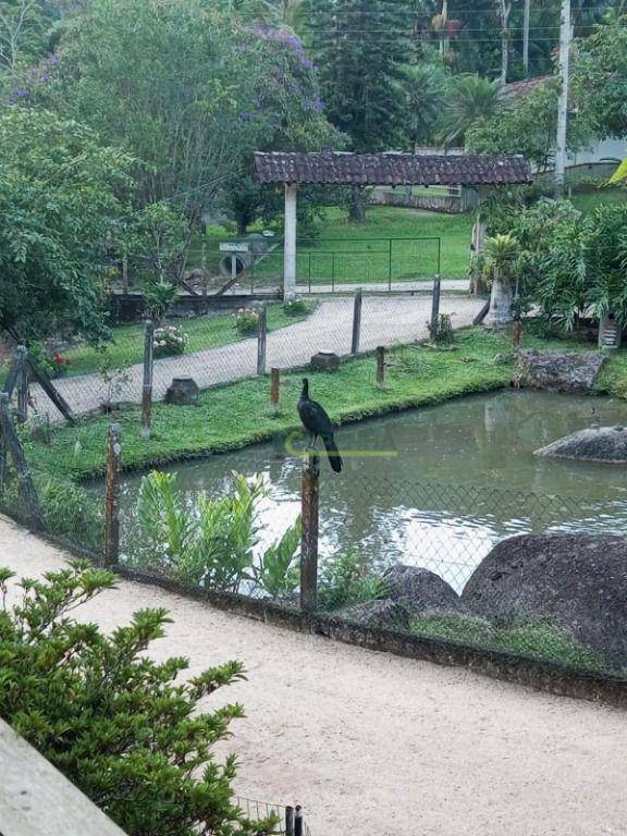 Sítio à venda com 2 quartos, 1800M2 - Foto 14