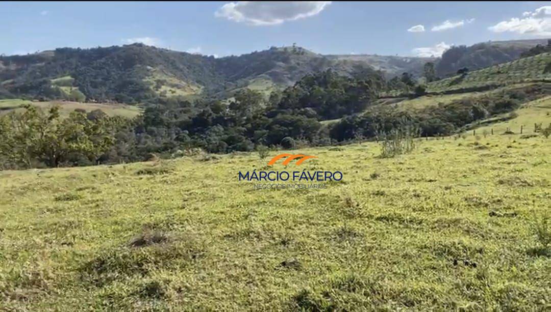 Fazenda, 111 hectares - Foto 5