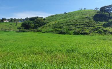 Fazenda à venda com 2 quartos, 47000m² - Foto 19