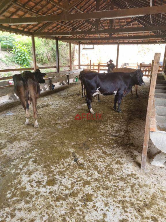 Fazenda à venda com 3 quartos, 1400000M2 - Foto 14