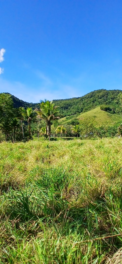Fazenda à venda com 4 quartos, 257m² - Foto 4