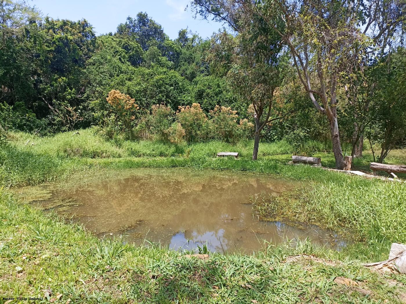 Fazenda à venda com 3 quartos, 11000m² - Foto 14