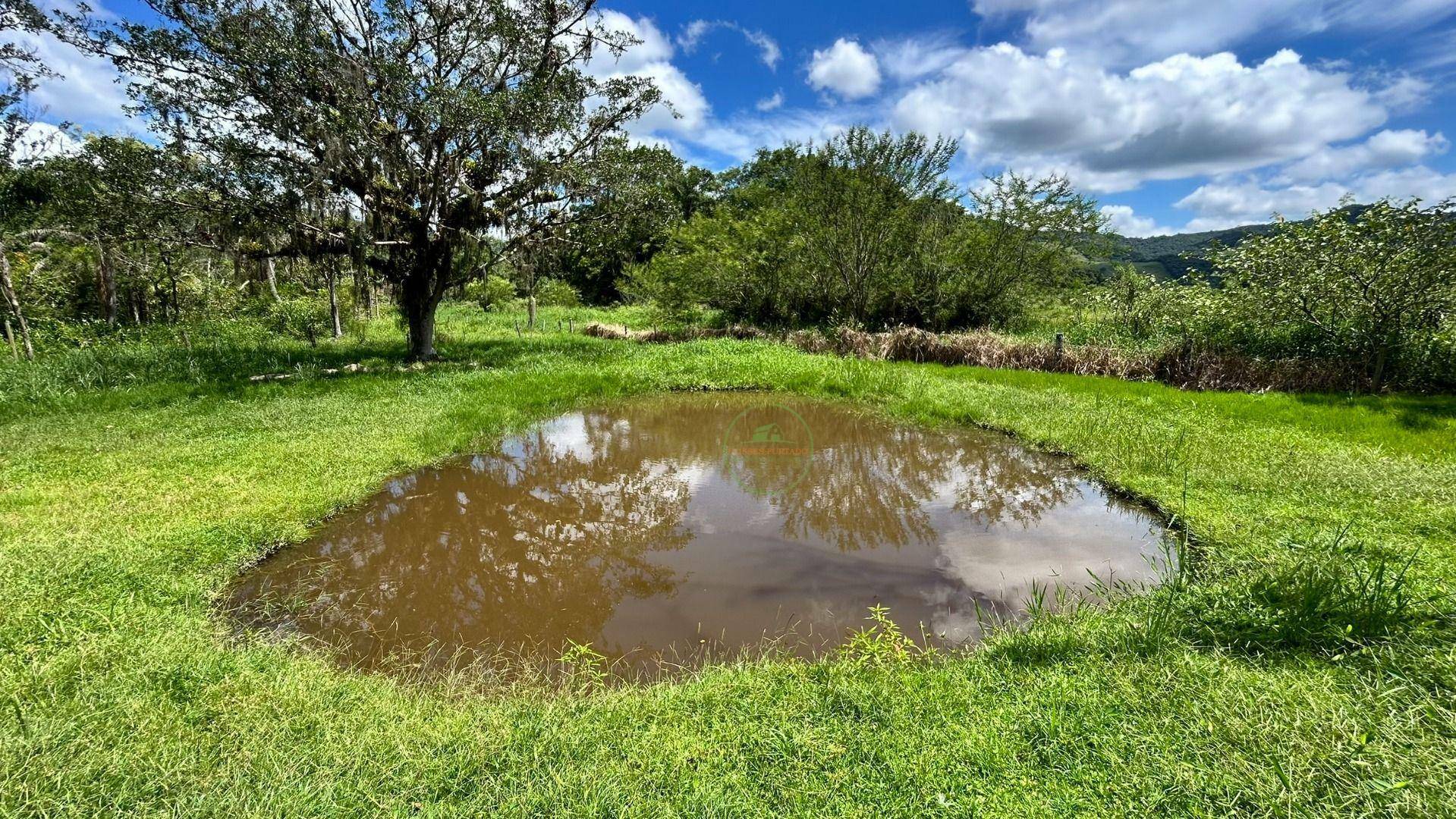 Chácara, 2 hectares - Foto 27