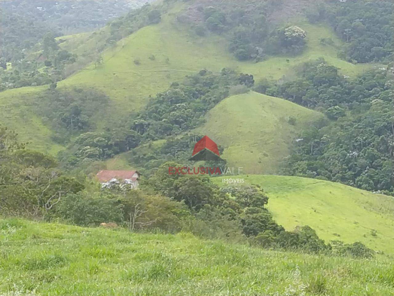 Sítio à venda, 73942M2 - Foto 4