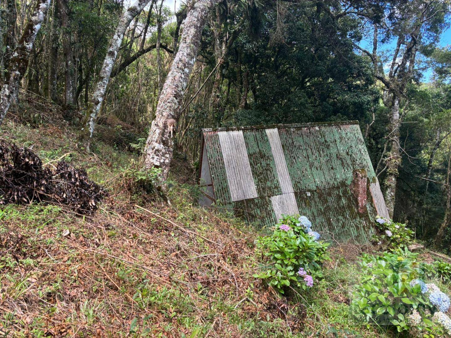 Terreno, 1195 m² - Foto 3