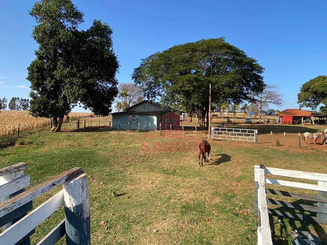 Sítio, 2 hectares - Foto 10