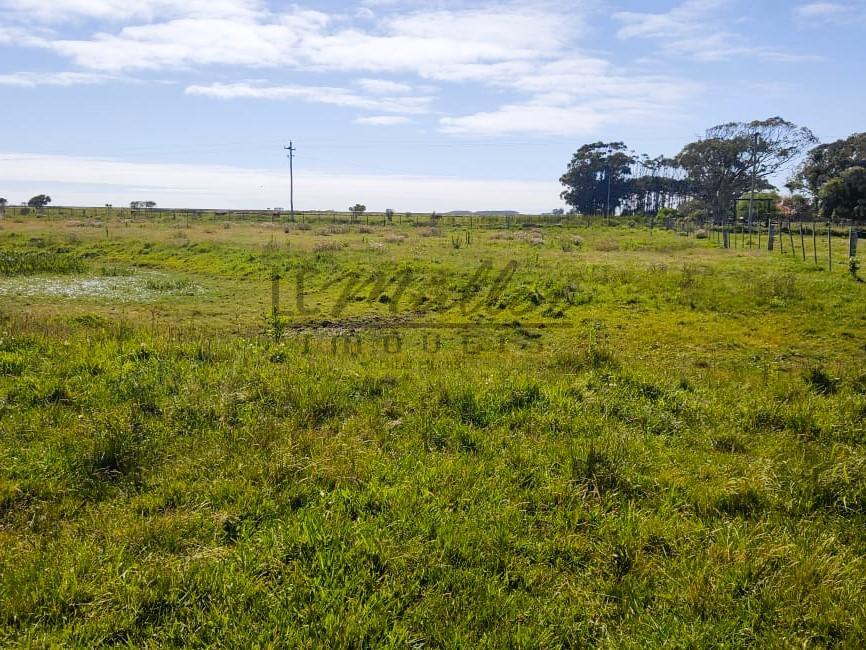 Fazenda à venda, 2300m² - Foto 3