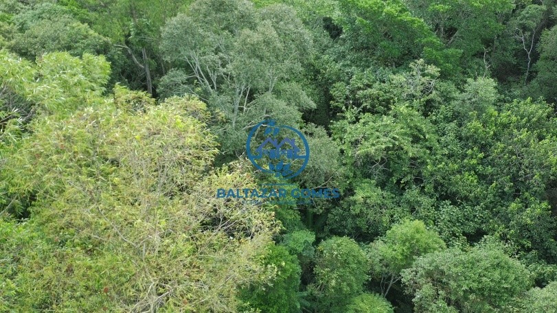 Terreno à venda, 20000m² - Foto 3